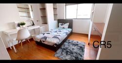 Twin Heights (D12), Apartment #501287331